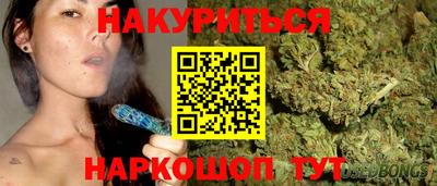 крисы Камышлов