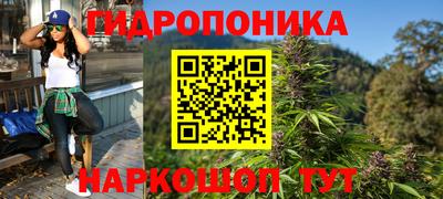крисы Камышлов