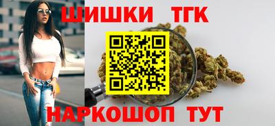 крисы Камышлов