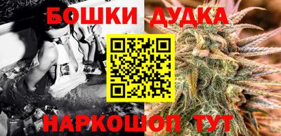 крисы Камышлов