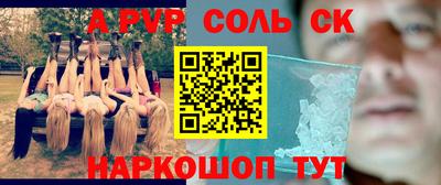крисы Камышлов